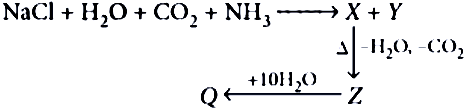 case-study-science-10-ch-2-q-8-iii
