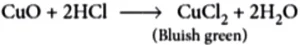 case-study-science-10-ch-2-q-10-i-ans