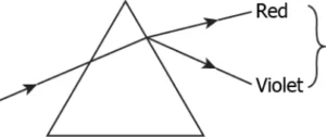 cbe-science-10-ch-10-q-10-a