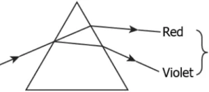 cbe-science-10-ch-10-q-10-c