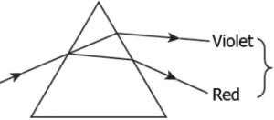 cbe-science-10-ch-10-q-10-d