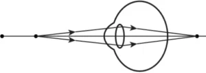 cbe-science-10-ch-10-q-6