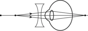 cbe-science-10-ch-10-q-6-a