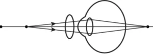 cbe-science-10-ch-10-q-6-d