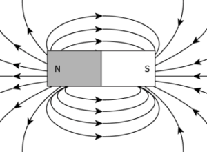 cbe-science-10-ch-12-q-1-c