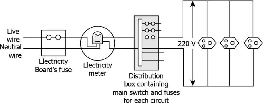 cbe-science-10-ch-12-q-16-a