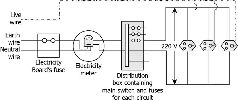 cbe-science-10-ch-12-q-16-c