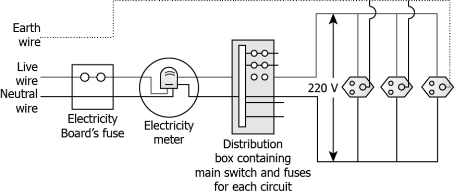 cbe-science-10-ch-12-q-16-d