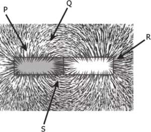 cbe-science-10-ch-12-q-2