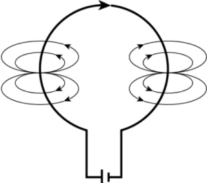 cbe-science-10-ch-12-q-5-c