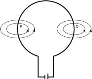 cbe-science-10-ch-12-q-6-c