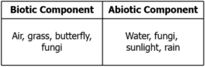cbe-science-10-ch-13-q-1-b