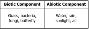 cbe-science-10-ch-13-q-1-c