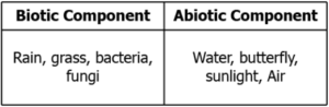 cbe-science-10-ch-13-q-1-d