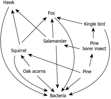 cbe-science-10-ch-13-q-4