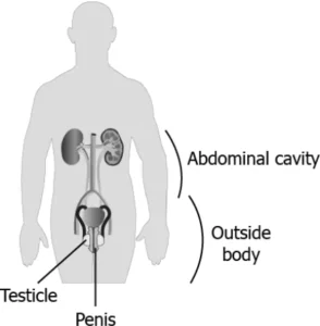 cbe-science-10-ch-7-q-18