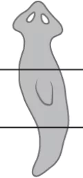 cbe-science-10-ch-7-q-7