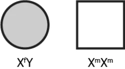 cbe-science-10-ch-8-q-4