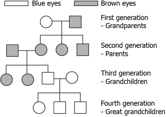 cbe-science-10-ch-8-q-6