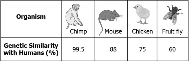 cbe-science-10-ch-8-q-8