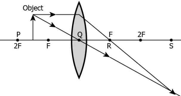 cbe-science-10-ch-9-q-17