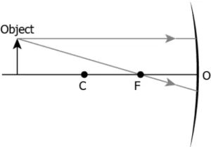cbe-science-10-ch-9-q-3