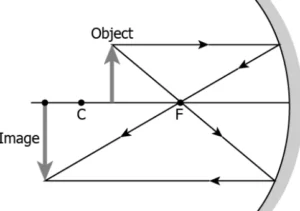 cbe-science-10-ch-9-q-4-b