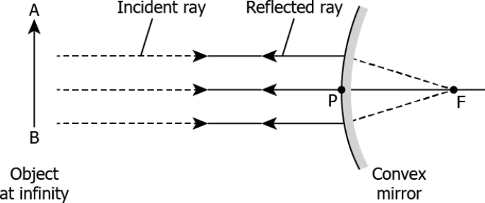 cbe-science-10-ch-9-q-5-a
