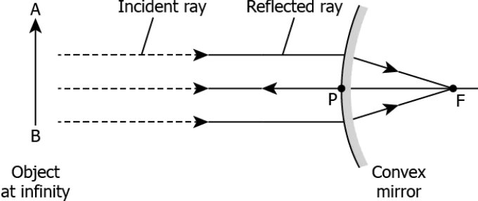 cbe-science-10-ch-9-q-5-c