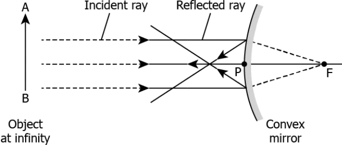 cbe-science-10-ch-9-q-5-d