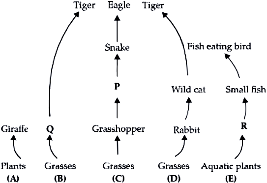case-study-science-10-ch-13-q-5