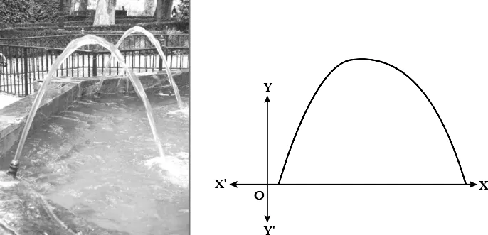 case-study-maths-class-10-ch-2-q-26