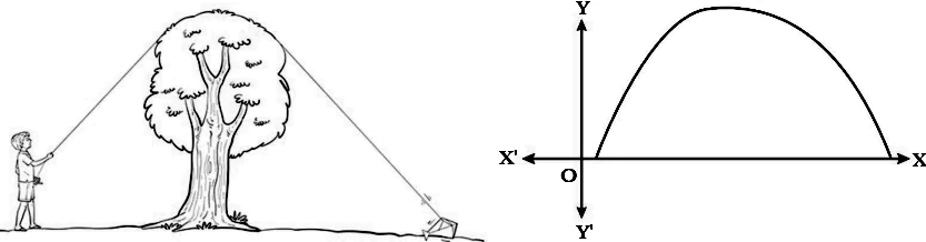 case-study-maths-class-10-ch-2-q-29