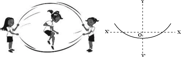 case-study-maths-class-10-ch-2-q-30