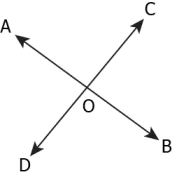 cbe-questions-maths-class-6-ch-04-q-11-b