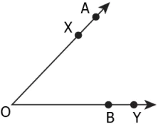 cbe-questions-maths-class-6-ch-04-q-25