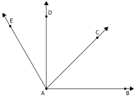 cbe-questions-maths-class-6-ch-05-q-12-1