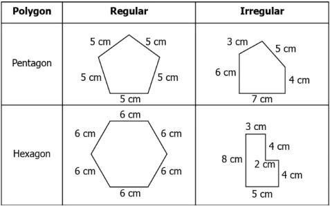 cbe-questions-maths-class-6-ch-05-q-30