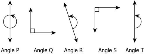 cbe-questions-maths-class-6-ch-05-q-6