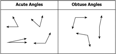 cbe-questions-maths-class-6-ch-05-q-7-a