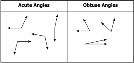 cbe-questions-maths-class-6-ch-05-q-7-b
