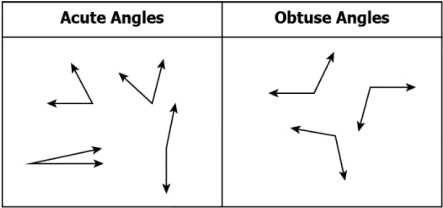 cbe-questions-maths-class-6-ch-05-q-7-d