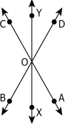 cbe-questions-maths-class-6-ch-13-q-10