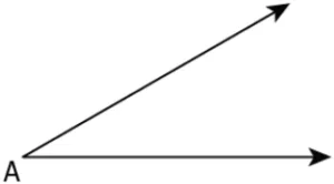 cbe-questions-maths-class-6-ch-14-q-16