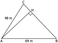 cbe-questions-maths-class-9-ch-10-q-4