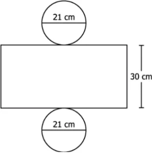 cbe-questions-maths-class-9-ch-11-q-6-a
