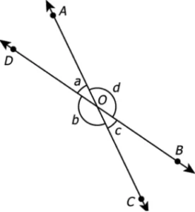 cbe-questions-maths-class-9-ch-6-q-5