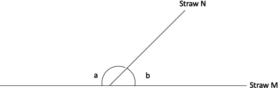 cbe-questions-maths-class-9-ch-6-q-6