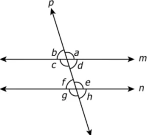 cbe-questions-maths-class-9-ch-6-q-7