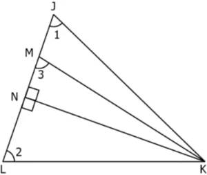 cbe-questions-maths-class-9-ch-7-q-11